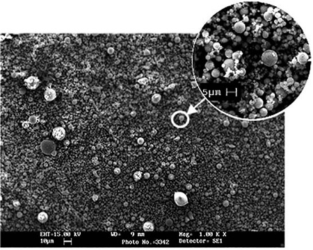 Fig. 5. Fig. 5.