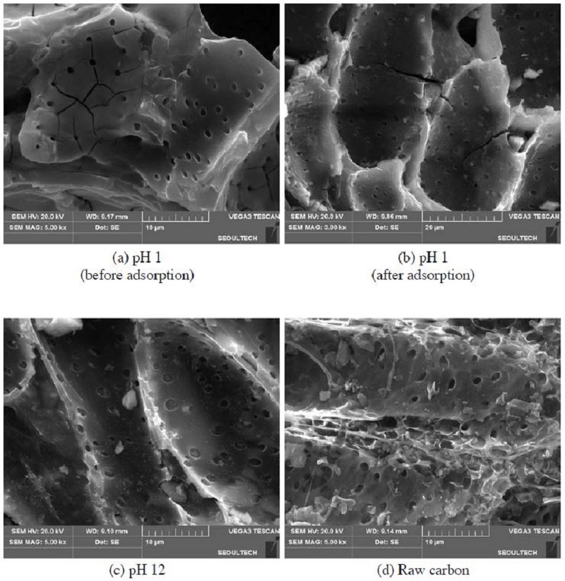 Fig. 4. Fig. 4.