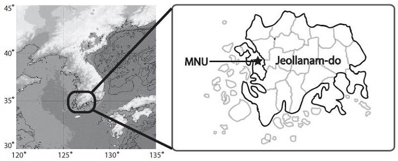 Fig. 2. Fig. 2.