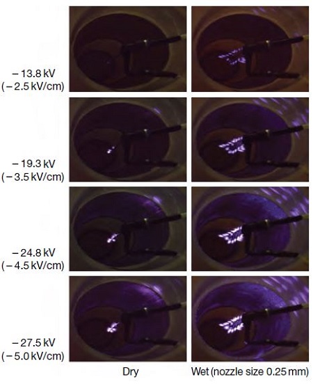 Fig. 5. Fig. 5.