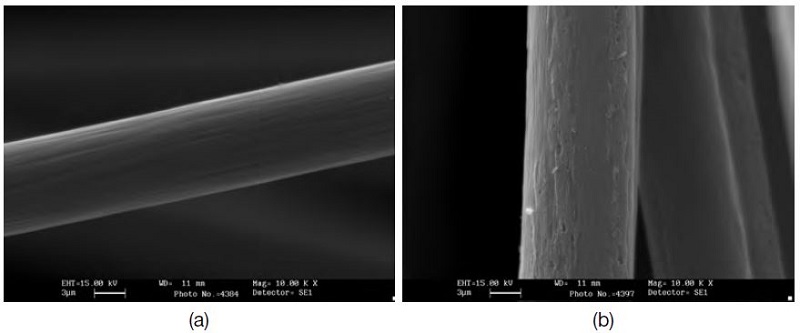 Fig. 4. Fig. 4.
