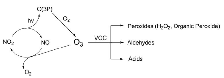 Fig. 9.