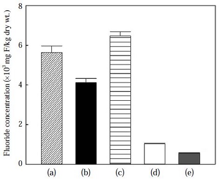 Fig. 4. Fig. 4.