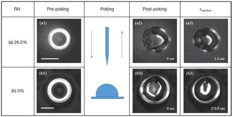 Fig. 3. Fig. 3.
