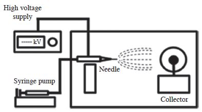 Fig. 1.