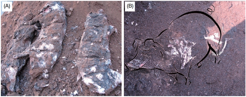 Fig. 3.