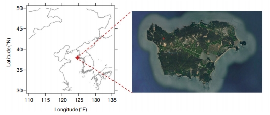 Fig. 1.