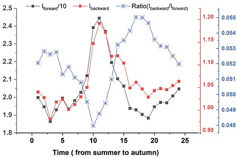 Fig. 9. Fig. 9.