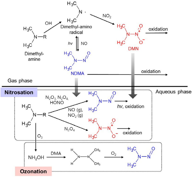 Fig. 2. Fig. 2.